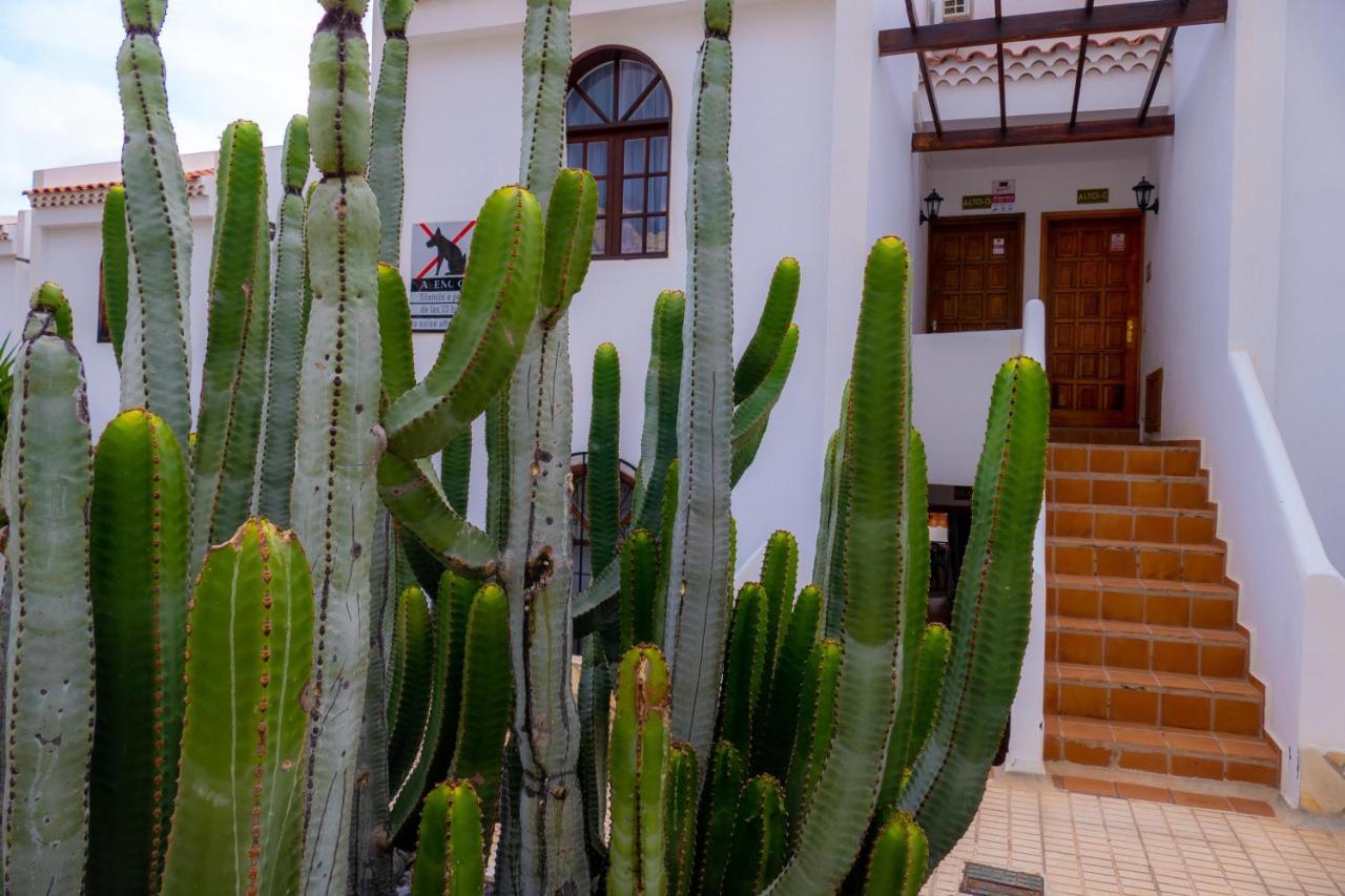 Apartment Las Bouganvillas 1 Bed In *